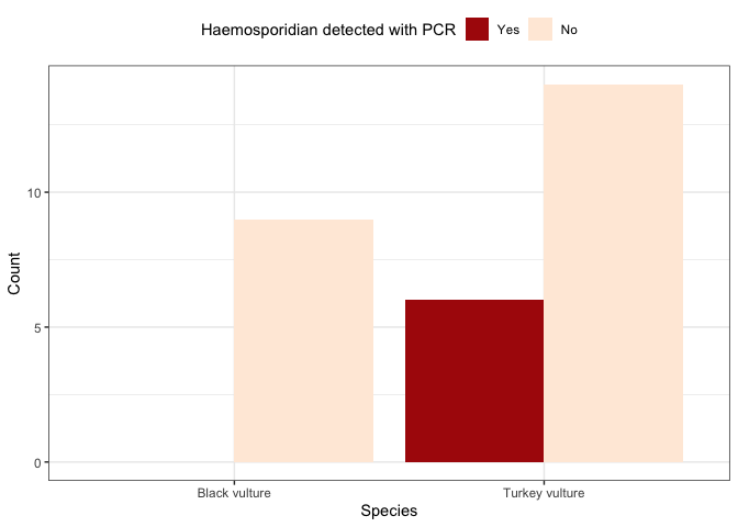 Figure 2. Bar plot of the number of sampled vultures for each species
that were detected with haemosporidians or were
not.