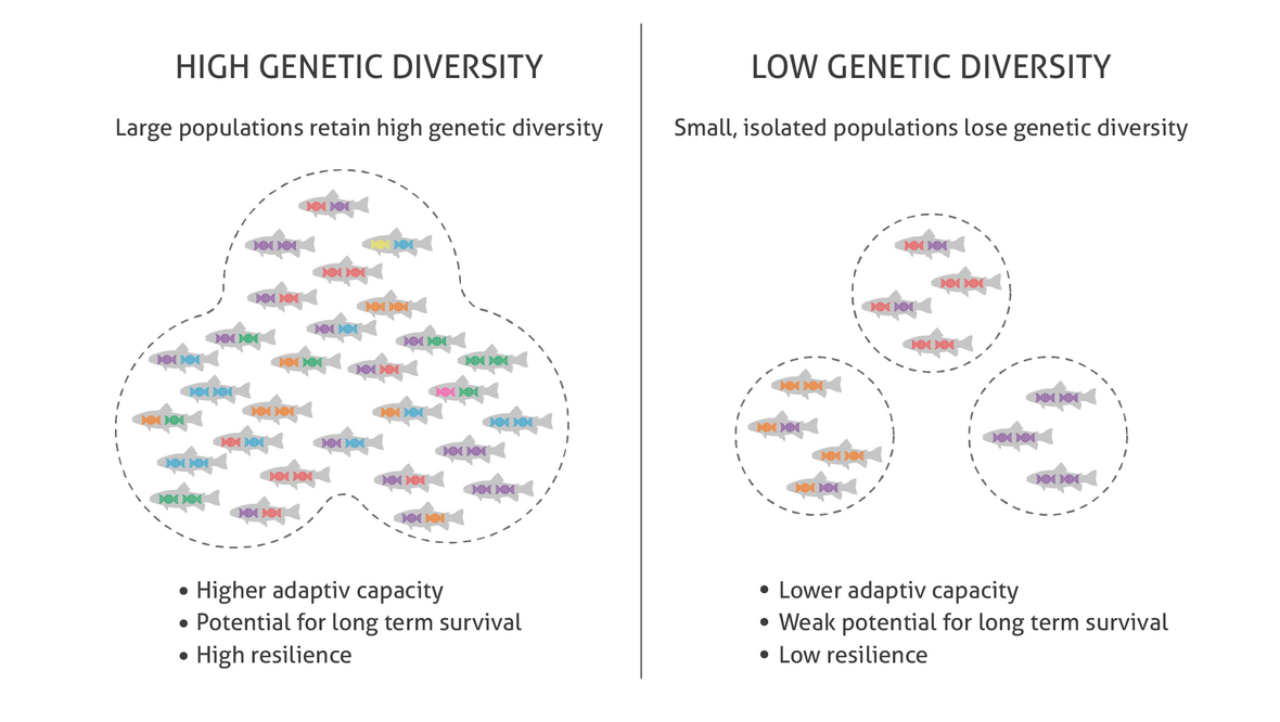 Source: Centre for Marine Evolutionary Biology, University of Gothenburg