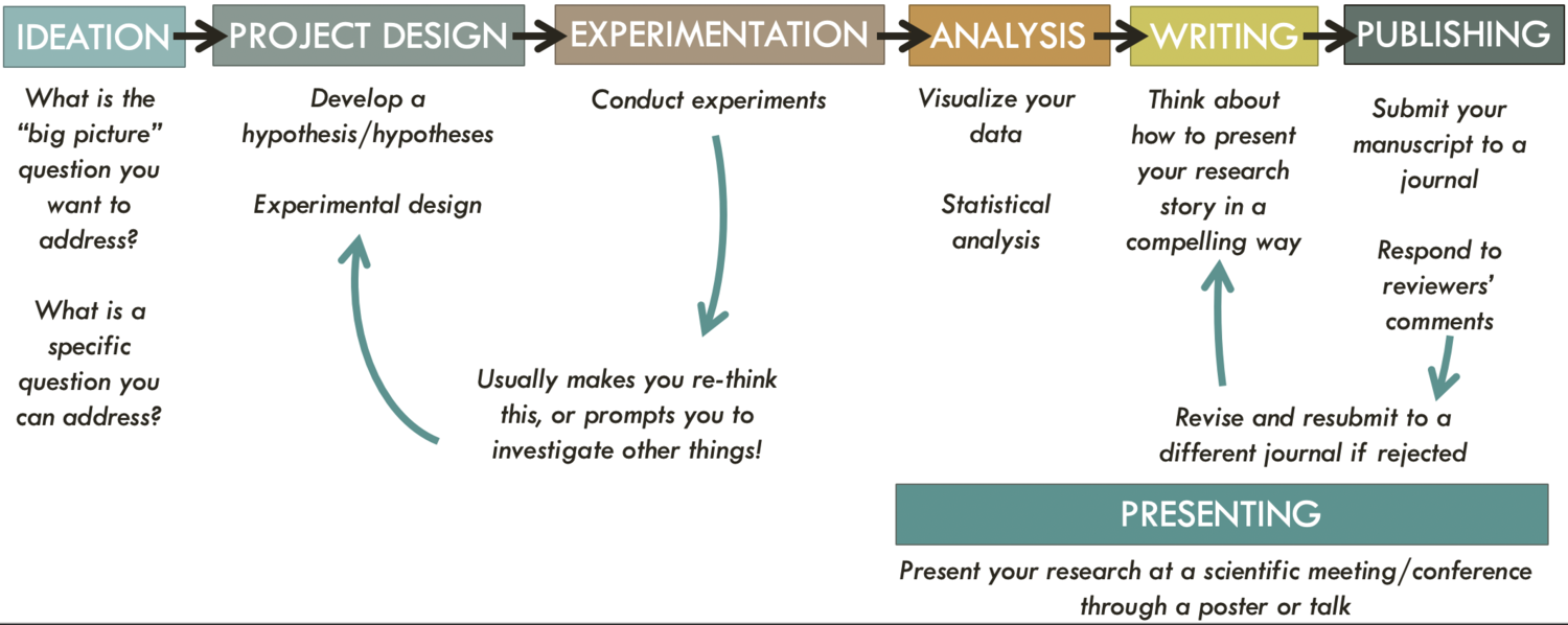 Flow chart of research project. Source: https://www.calliechappell.com/blog/project-design