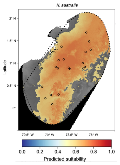 Figure 3 from Kass et al. 2020. A map of predicted habitat suitability
across the landscape for the South American spiny pocket mouse (*H.
australis*). Values range from 0 (no suitability) to 1 (perfect
suitability). Circles indicate the observed
localities.